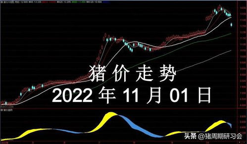 2022年11月1日